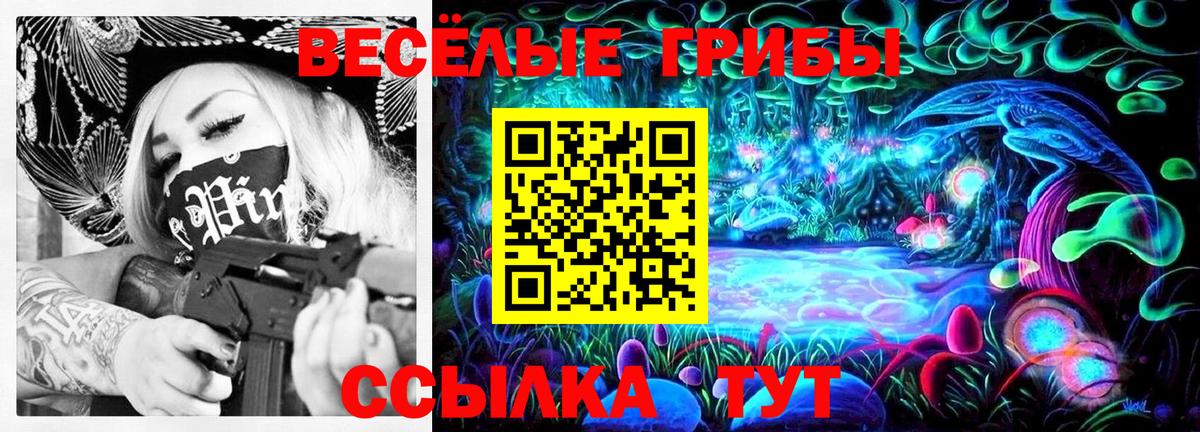 Псилоцибиновые грибы Psilocybine cubensis  купить  сайты  Вход с VPN  Миллерово  Псилоцибиновые грибы прущие грибы 